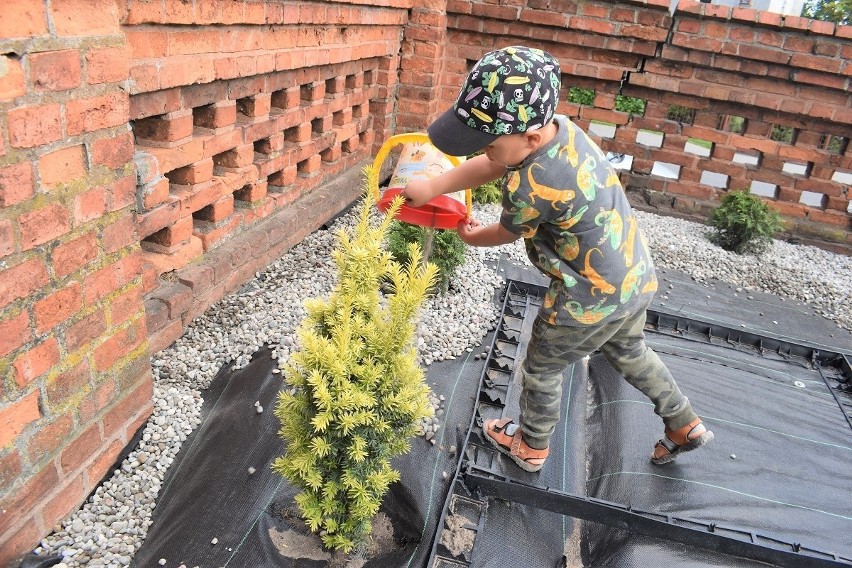 Nowy ogródek przy przedszkolu miejskim w Kcyni działa na...