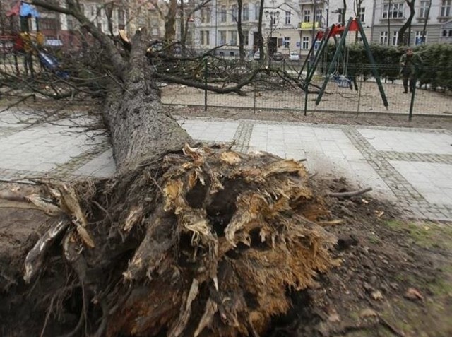 Nocna wichura uderzyła w plac Wolności w Katowicach. Prędkość wiatru w porywach dochodziła do 222 km/h