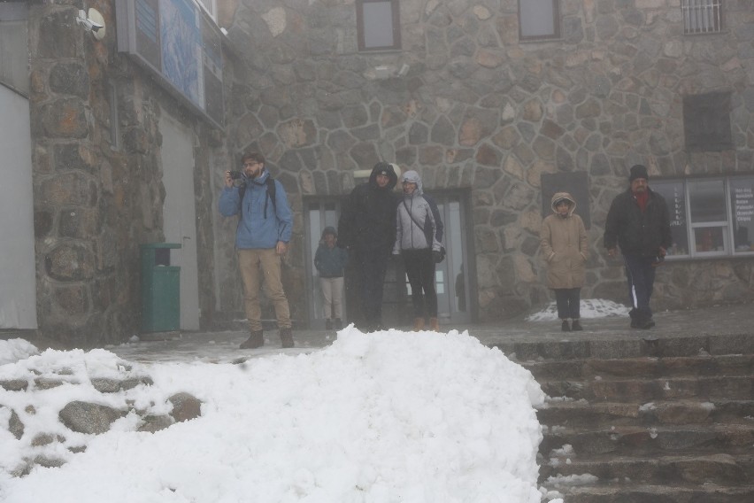W górach spadł śnieg. W Tatrach lawinowa dwójka [AKTUALIZACJA, ZDJĘCIA]