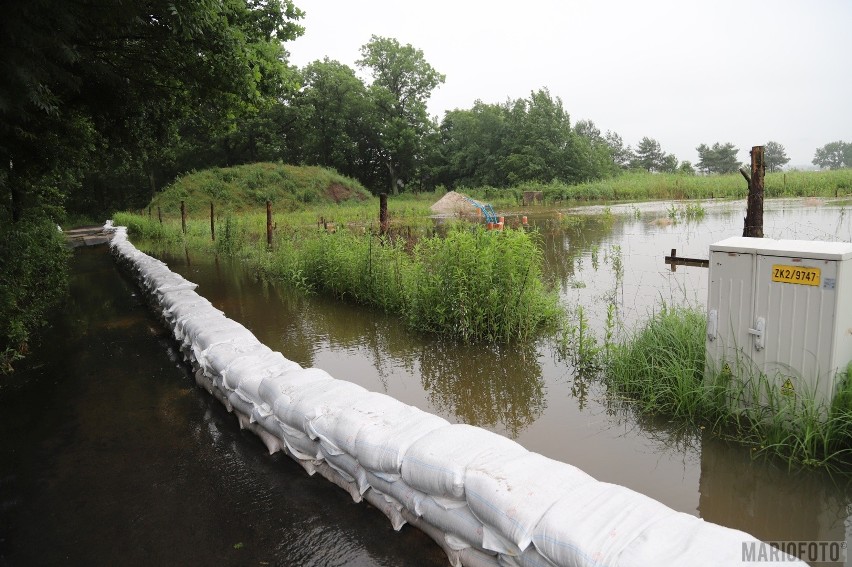 Działania strażaków w Karczowie pod Opolem