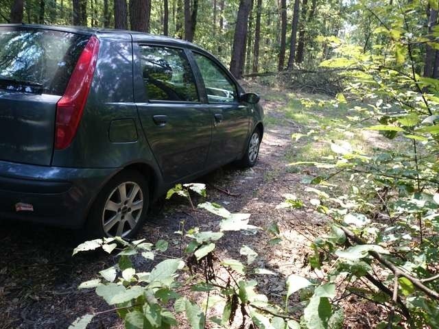 W lasach rowerami można jeździć wszystkimi duktami. Bez względu na charakter tras. Samochodami tylko w wyznaczonych miejscach