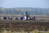 Tragiczny wypadek w Prusimiu. Rolnik zaklinował się w kopaczce do ziemniaków. Nie przeżył