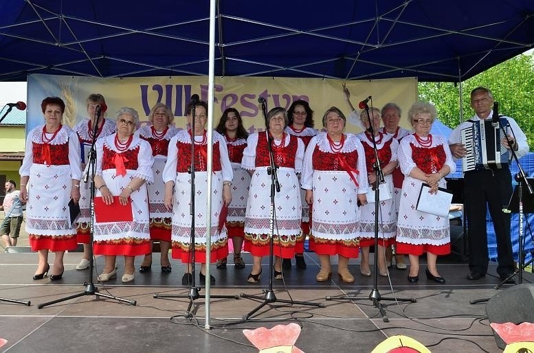 Festyn folklorystyczny w Dąbrowie Górniczej-Błędowie