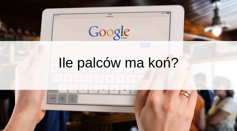 Najczęściej wyszukiwane hasła w Google [lista]