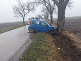Wypadek w miejscowości Złota. Fiat zjechał z drogi i uderzył w drzewo. Kierowca w szpitalu