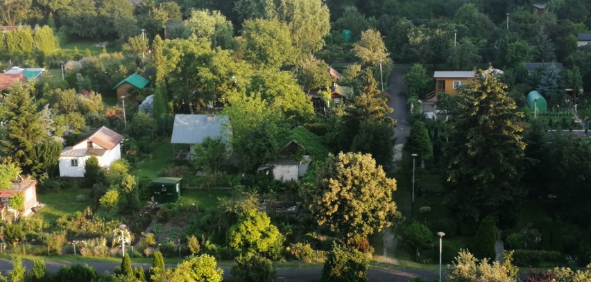 Za kilkuarową działkę z altaną trzeba dziś zapłacić około 50...