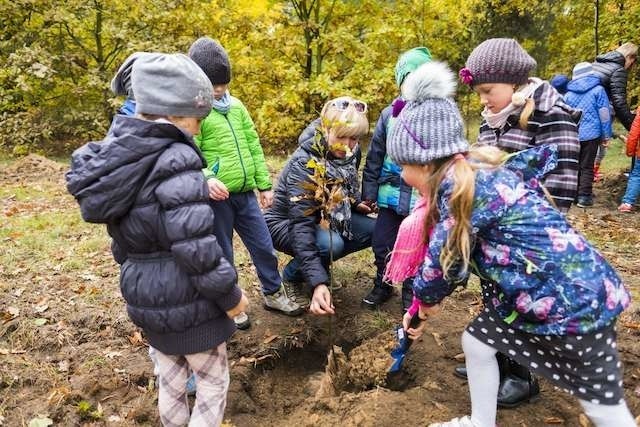 Drzewka przy Zielonej Alei Przedszkolaka sadziły dzieci z toruńskiego Przedszkola „Alfik” i punktu przedszkolnego „Gucio”