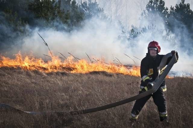 Pożar traw ogrodówPożar traw i ogrodów działkowych w Fordonie