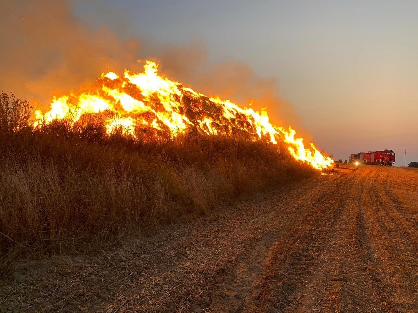 Pożar koło miejscowości Płotno. Spaliło się 600 bel siana