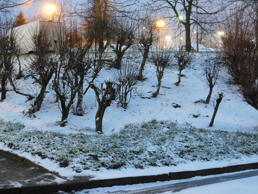 W poniedziałkowy poranek w Koszalinie pojawiła się zima. Po...