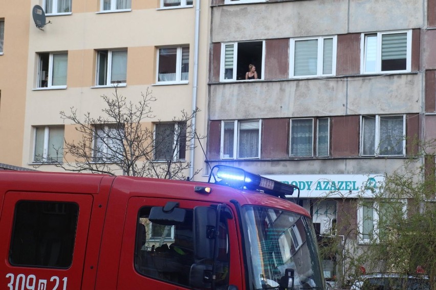 Pożar śmietnika na ul. Przybyszewskiego. Paliło się przy przystanku