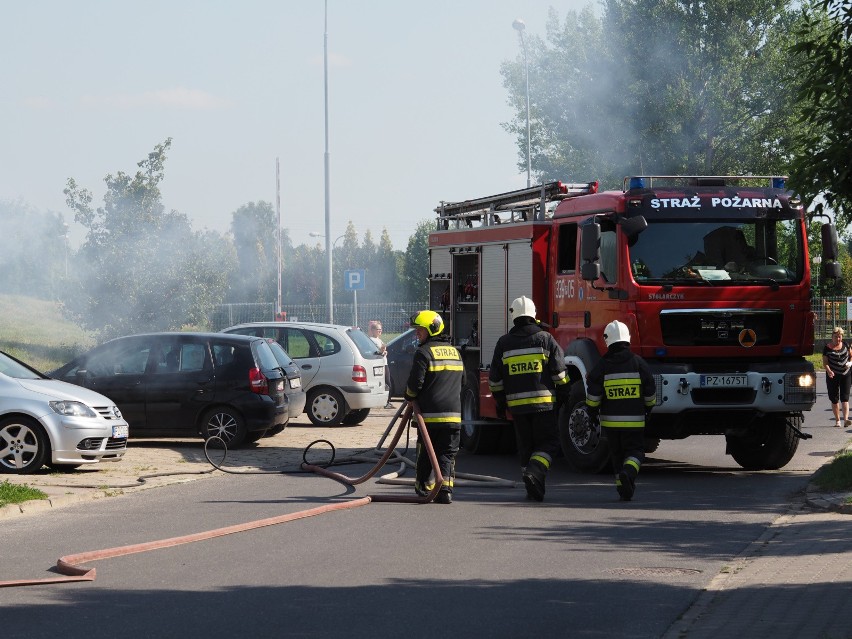 Pożar śmietnika na ul. Przybyszewskiego. Paliło się przy przystanku