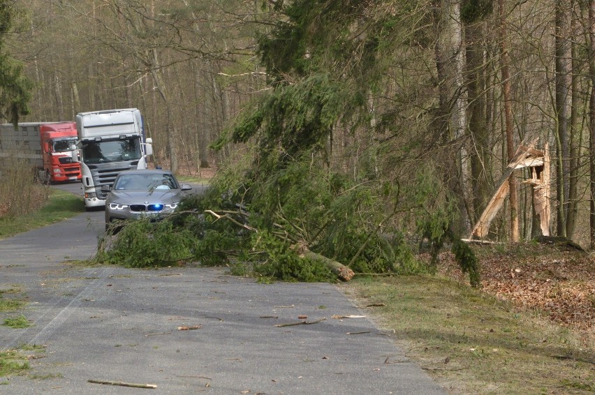 Wichura na Pomorzu 23.04.2019 . Między Przechlewem a...