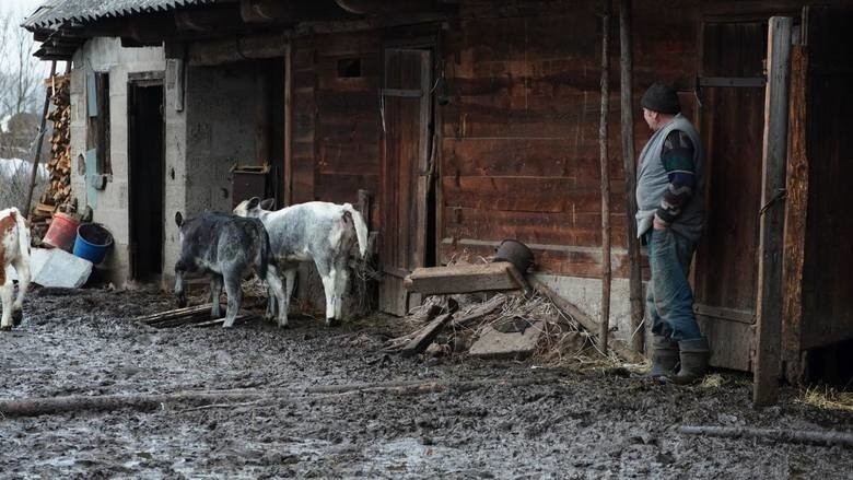 Rolnicy. Podlasie. 3 odcinek trzeciego sezonu. Gienek i...