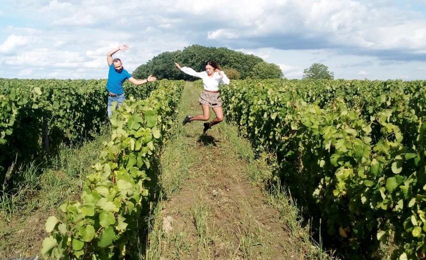 Przez region przebiega  jedyny w Polsce Szlak Wina i Miodu....