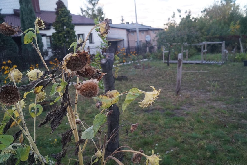 Wolbrom. Mąż podpalił żonę. Dzieci nie mają teraz ani mamy, ani taty, ani domu