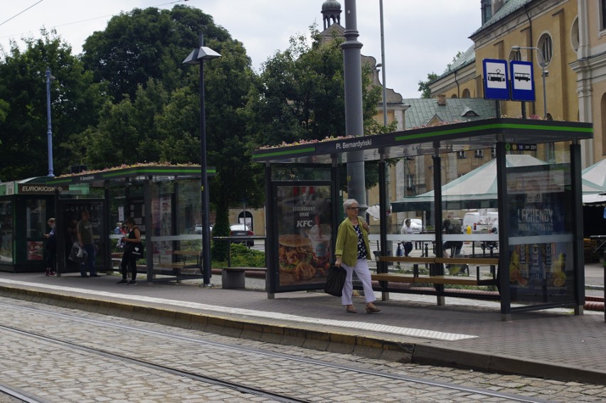 Na pierwszych ośmiu przystankach w Poznaniu już jest zielono...