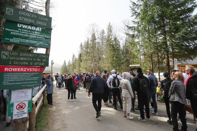Tłumy turystów wybrało się w niedzielę do Doliny Chochołowskiej w Tatrach.
