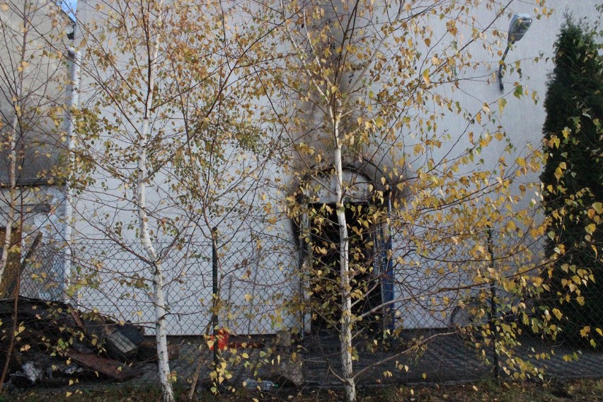 Atak na ciepłownię w Ozorkowie. Sprawca dewastacji zatrzymany we własnym domu [ZDJĘCIA+FILM]