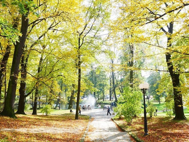 Złota jesień w wodzisławskim parku miejskim