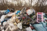 Hałdy śmieci na działkach rosną. Działkowicze mają pretensje do zarządu