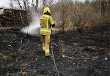 Trzy akcje strażaków z OSP Sławoborze. Gasili pożar traw [ZDJĘCIA]
