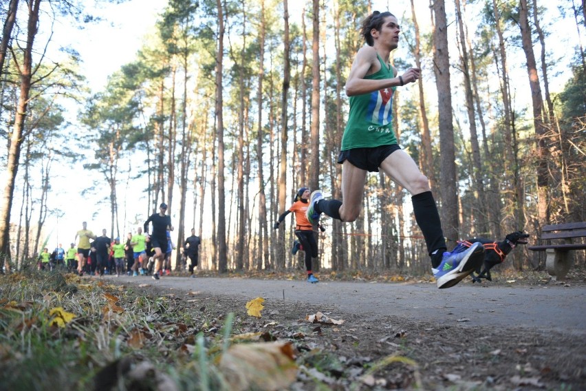 Parkrun Toruń. Zobacz zdjęcia z sobotniego biegu [20.11]