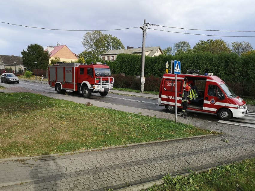 Powiat proszowicki. Kilkanaście interwencji strażaków po wichurze