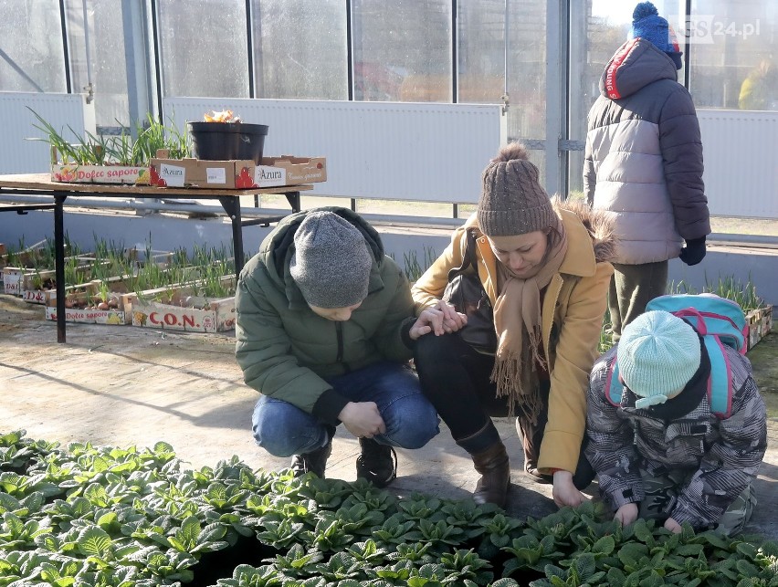 Uczniowie uczyli się ratować psa i sadzić kwiaty w Centrum Edukacji Ogrodniczej w Szczecinie [ZDJĘCIA, WIDEO]