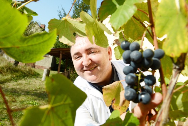 Lekarz rodzinny Tadeusz Kiwka prowadzi praktykę w Zaborze. - Winiarstwo to moje hobby. Robię głównie wina czerwone - mówi