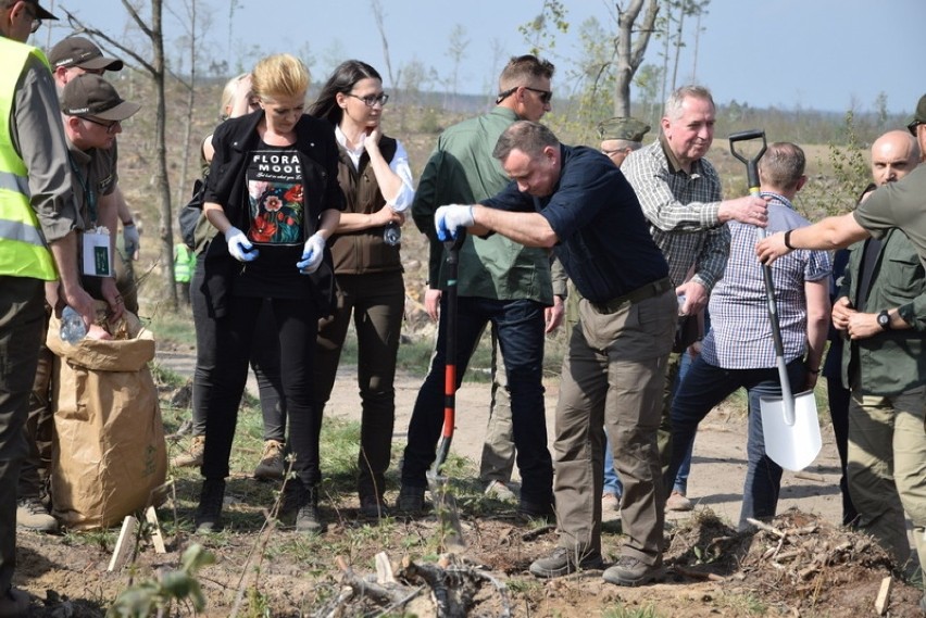 Prezydent Andrzej Duda z małżonką sadzili drzewa na terenie nadleśnictwa Rytel