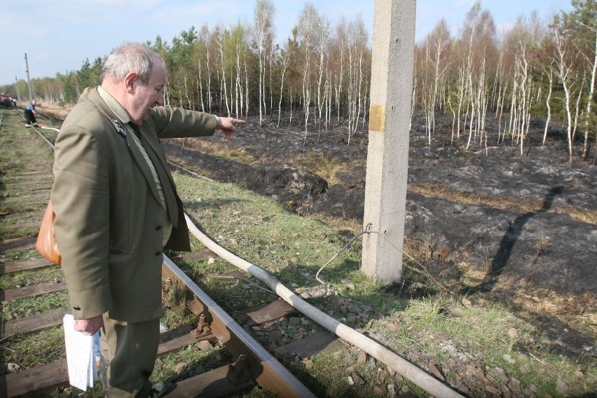 Gigantyczny pożar lasów koło Rud Raciborskich [ZDJĘCIA]