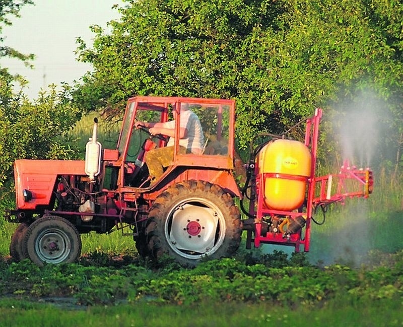 Nie powinno się stosować  oprysków gdy owoce są już na...