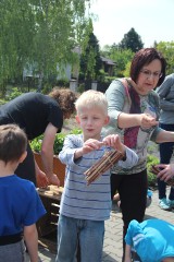 Ogrodoterapia? Tak, w Rudzie Śląskiej to możliwe