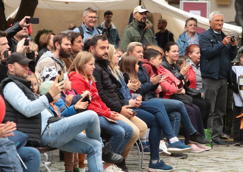 Widowiskowe Święto Gryfa na Zamku Książąt Pomorskich w...