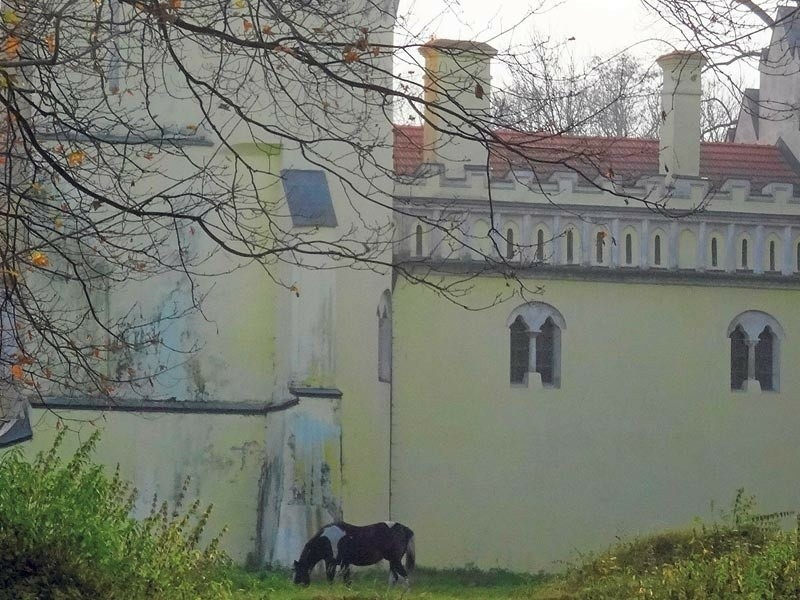 Zamek szlachecki Ligęzów z XVI w. w Zawadzie.