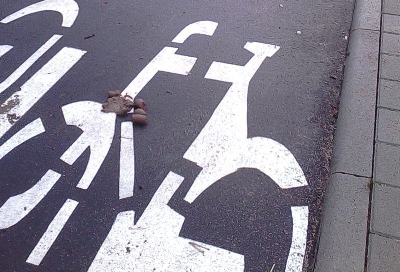 Przesyłam zdjęcia ścieżki rowerowej na ulicy...