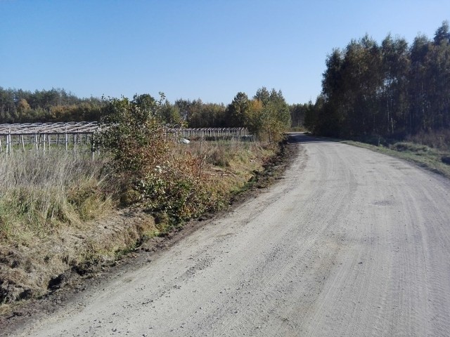 Blisko kilometrowy odcinek drogi w Witoldowie będzie najpierw utwardzony, a w przyszłości ma być położony asfalt.
