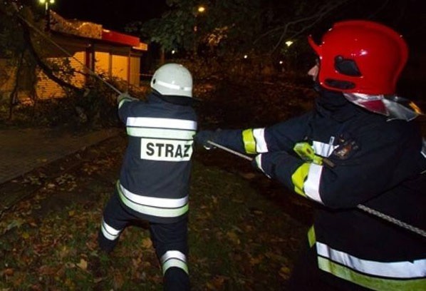 Wichura powaliła drzewo na krajowej drodze nr 20 za Złocieńcem