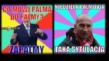 Niedziela Palmowa w krzywym zwierciadle. Zobacz najśmieszniejsze memy z palmą w roli głównej