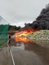 Pożar w Tczewie 11.05.2020. Płonie wysypisko śmieci [zdjęcia]