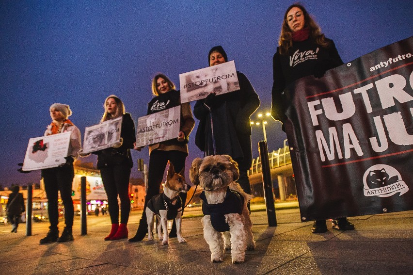 Akcja "Klatka po klatce" przed Galerią Bałtycką  w Gdańsku w...