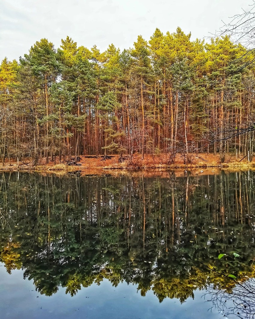 Na terenie Jaworzna- Ciężkowic swoim urokiem przyciąga...