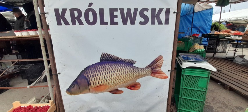 Karp już w sprzedaży na kieleckich bazarach! Jaka cena za kilogram świeżej ryby?