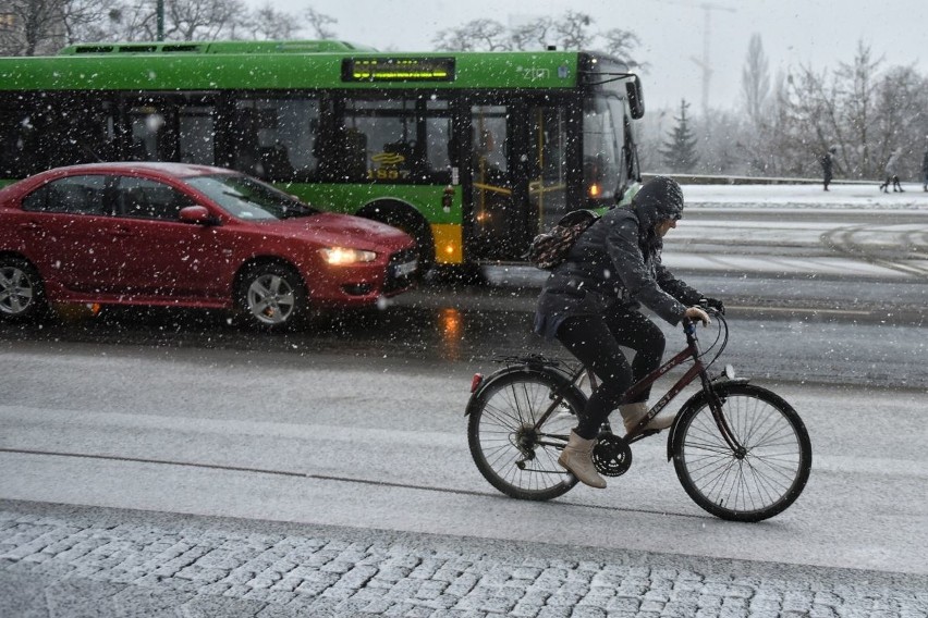 Śnieżyca w Poznaniu. Zasypało całe miasto