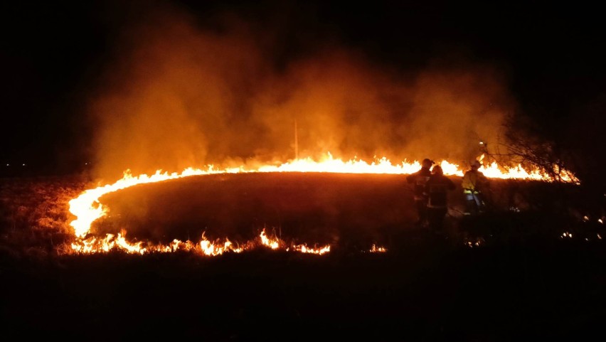 Już przeszło 300 razy strażacy na Podkarpaciu wyjeżdżali w marcu do pożarów traw na łąkach, polach, nieużytkach! [WIDEO]