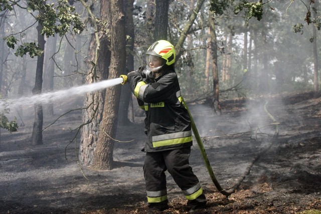 W tym roku strażacy z województwa opolskiego interweniowali już 473 razy w związku z pożarami nieużytków, powierzchni rolnych, łąk i suchych traw. Kolejne 22 pożary wybuchły w lasach.