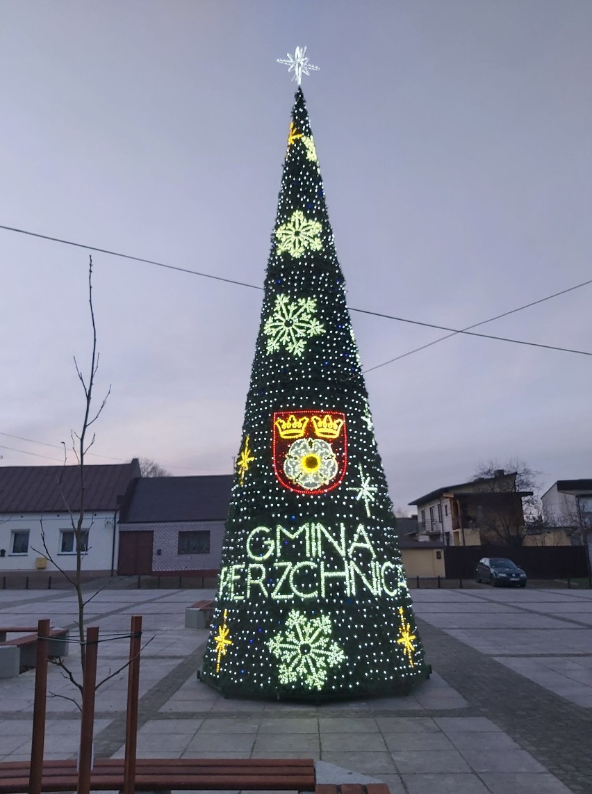 Nowa choinka na Rynku w Pierzchnicy już rozbłysła. Zobacz zdjęcia