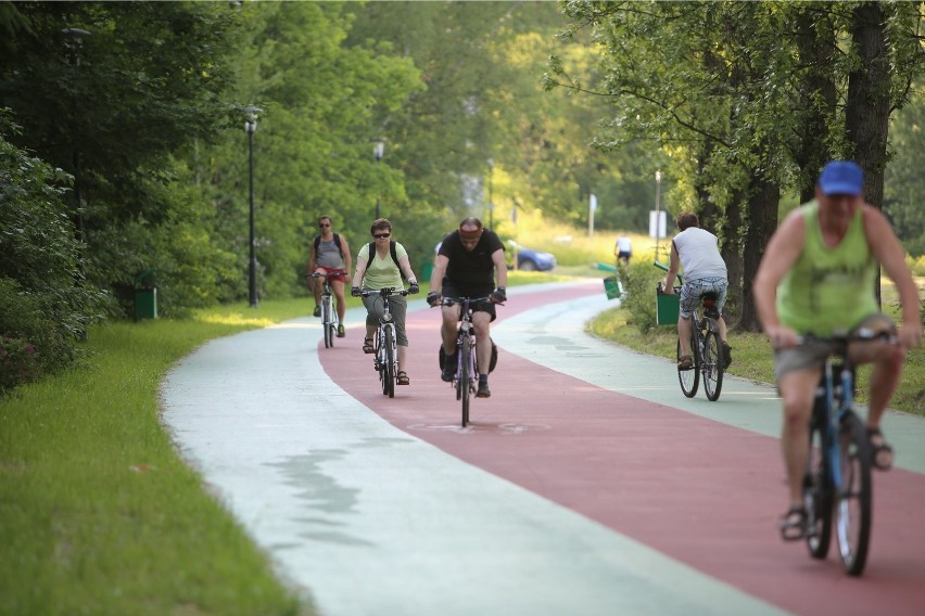 Ścieżka rowerowa w Parku Ślaskim w Chorzowie