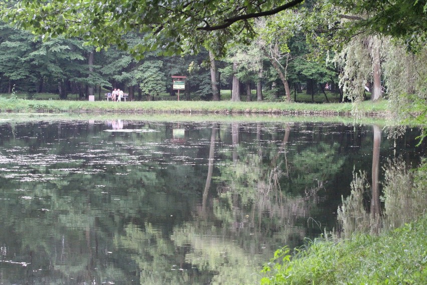 Tak dziś wygląda park Zielona w Dąbrowie Górniczej